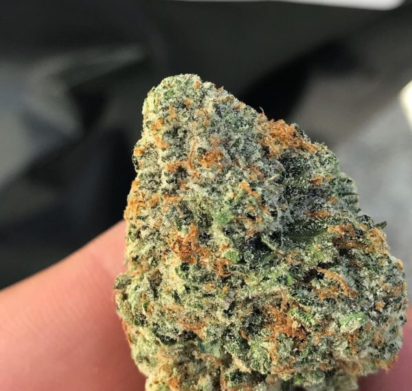 GUAVA KUSH strain, buy GUAVA KUSH strain, buy GUAVA KUSH kush, buy GUAVA KUSH cannabis, order GUAVA KUSH weed, order GUAVA KUSH kush, buy GUAVA KUSH with bitcoins, order GUAVA KUSH with bitcoins