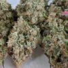 TRAINWRECK strain, buy TRAINWRECK strain, buy TRAINWRECK kush, buy TRAINWRECK cannabis, order TRAINWRECK weed, order TRAINWRECK kush, buy TRAINWRECK with bitcoins, order TRAINWRECK with bitcoins