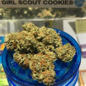 Girls Scout Cookies