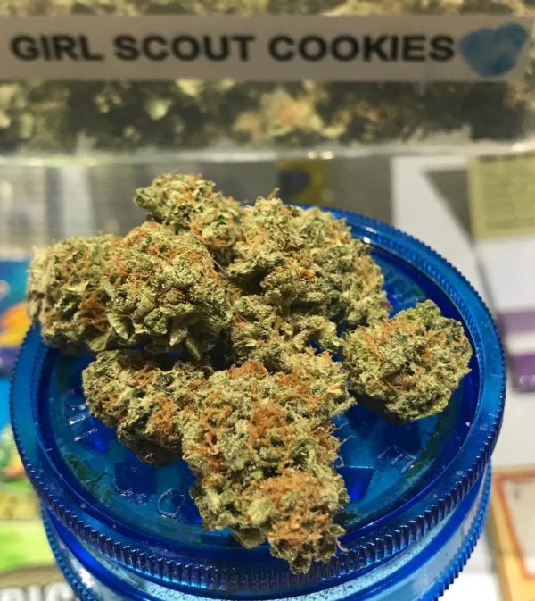 GIRLS SCOUT COOKIES strain, buy GIRLS SCOUT COOKIES strain, buy GIRLS SCOUT COOKIES kush, buy GIRLS SCOUT COOKIES cannabis, order GIRLS SCOUT COOKIES weed, order GIRLS SCOUT COOKIES kush, buy GIRLS SCOUT COOKIES with bitcoins, order GIRLS SCOUT COOKIES with bitcoins