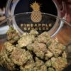 PINEAPPLE EXPRESS strain, buy PINEAPPLE EXPRESS strain, buy PINEAPPLE EXPRESS kush, buy PINEAPPLE EXPRESS cannabis, order PINEAPPLE EXPRESS weed, order PINEAPPLE EXPRESS kush, buy PINEAPPLE EXPRESS with bitcoins, order PINEAPPLE EXPRESS with bitcoins