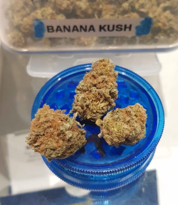 BANANA KUSH strain, buy BANANA KUSH strain, buy BANANA KUSH kush, buy BANANA KUSH cannabis, order BANANA KUSH weed, order BANANA KUSH kush, buy BANANA KUSH with bitcoins, order BANANA KUSH with bitcoins