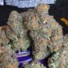 Granddaddy Purple strain, buy Granddaddy Purple strain, buy Granddaddy Purple kush, buy Granddaddy Purple cannabis, order Granddaddy Purple weed, order Granddaddy Purple kush, buy Granddaddy Purple with bitcoins, order Granddaddy Purple with bitcoins