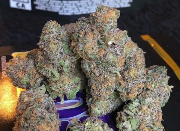 Granddaddy Purple strain, buy Granddaddy Purple strain, buy Granddaddy Purple kush, buy Granddaddy Purple cannabis, order Granddaddy Purple weed, order Granddaddy Purple kush, buy Granddaddy Purple with bitcoins, order Granddaddy Purple with bitcoins