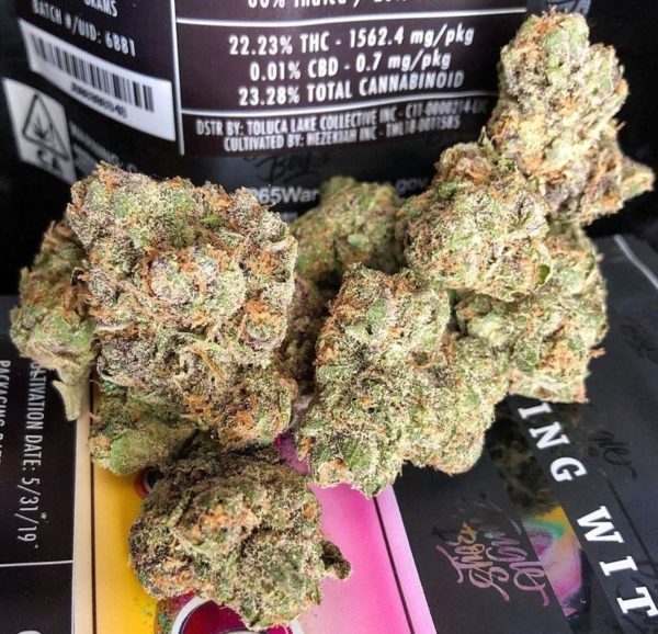 Gorilla Glue strain, buy Gorilla Glue strain, buy Gorilla Glue kush, buy Gorilla Glue cannabis, order Gorilla Glue weed, order Gorilla Glue kush, buy Gorilla Glue with bitcoins, order Gorilla Glue with bitcoins