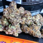 Sunset Sherbert strain, buy Sunset Sherbert strain, buy Sunset Sherbert kush, buy Sunset Sherbert cannabis, order Sunset Sherbert weed, order Sunset Sherbert kush, buy Sunset Sherbert with bitcoins, order Sunset Sherbert with bitcoins