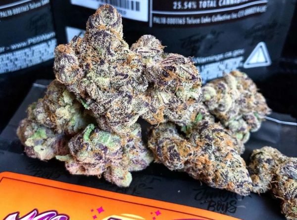 Sunset Sherbert strain, buy Sunset Sherbert strain, buy Sunset Sherbert kush, buy Sunset Sherbert cannabis, order Sunset Sherbert weed, order Sunset Sherbert kush, buy Sunset Sherbert with bitcoins, order Sunset Sherbert with bitcoins