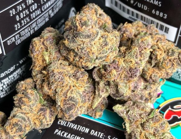 PINK KUSH strain, buy PINK KUSH strain, buy PINK KUSH kush, buy PINK KUSH cannabis, order PINK KUSH weed, order PINK KUSH kush, buy PINK KUSH with bitcoins, order PINK KUSH with bitcoins