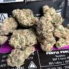 PURPLE PUNCH strain, buy PURPLE PUNCH strain, buy PURPLE PUNCH kush, buy PURPLE PUNCH cannabis, order PURPLE PUNCH weed, order PURPLE PUNCH kush, buy PURPLE PUNCH with bitcoins, order PURPLE PUNCH with bitcoins