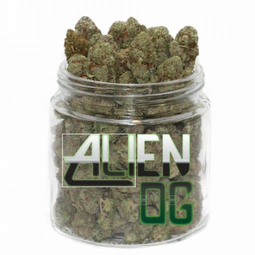 Alien OG Marijuana Strain