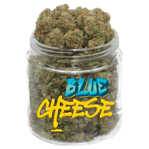 Blue Cheese Marijuana Strain