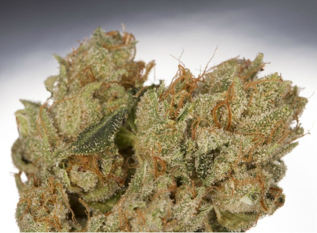 WEED HACKS