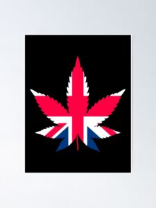 Read more about the article canabis uk