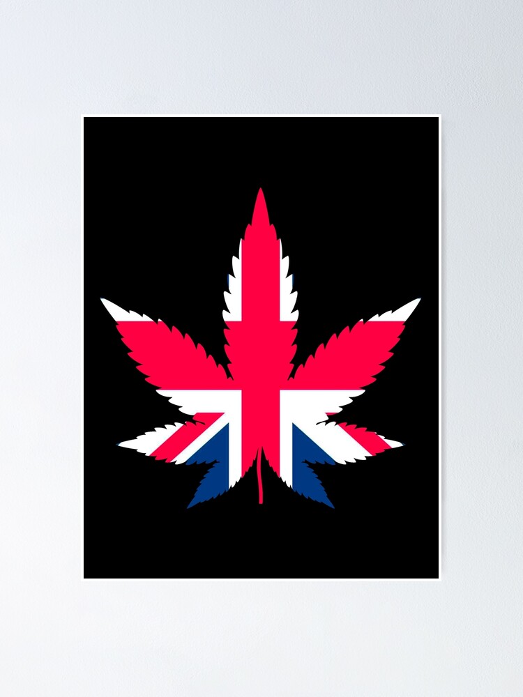 Read more about the article canabis uk